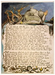 Amerika eine Prophezeiung, Kopie, Platte 18